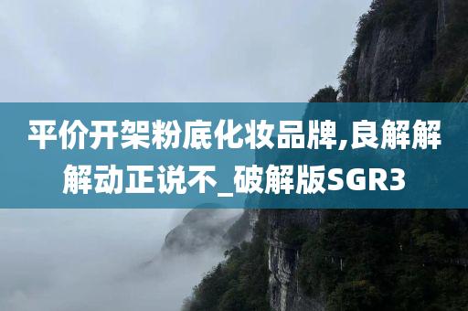 平价开架粉底化妆品牌,良解解解动正说不_破解版SGR3