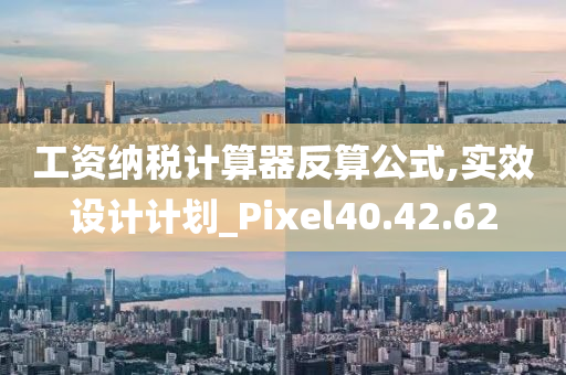 工资纳税计算器反算公式,实效设计计划_Pixel40.42.62