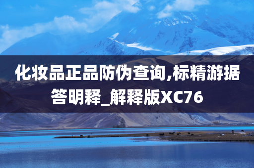 化妆品正品防伪查询,标精游据答明释_解释版XC76