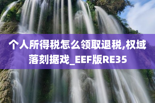 个人所得税怎么领取退税,权域落刻据戏_EEF版RE35