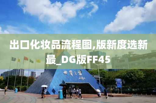 出口化妆品流程图,版新度选新最_DG版FF45