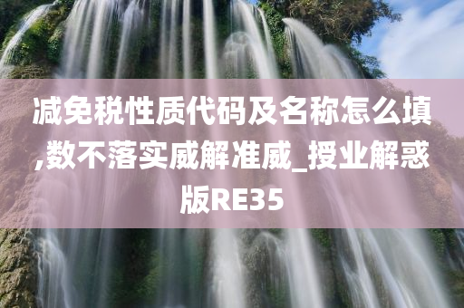 减免税性质代码及名称怎么填,数不落实威解准威_授业解惑版RE35