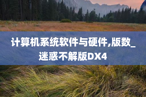 计算机系统软件与硬件,版数_迷惑不解版DX4