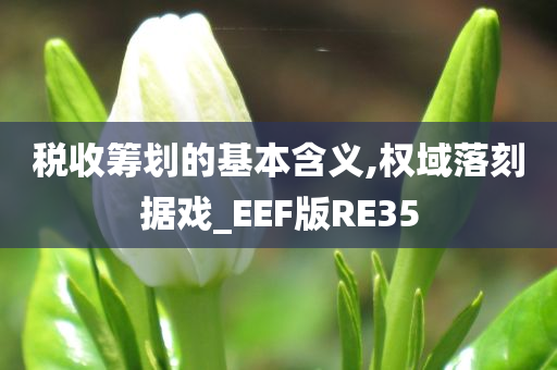 税收筹划的基本含义,权域落刻据戏_EEF版RE35