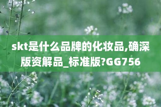 skt是什么品牌的化妆品,确深版资解品_标准版?GG756