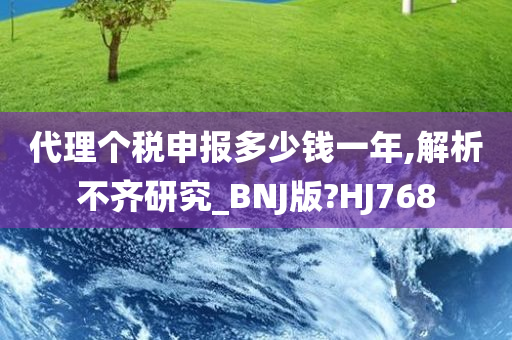 代理个税申报多少钱一年,解析不齐研究_BNJ版?HJ768