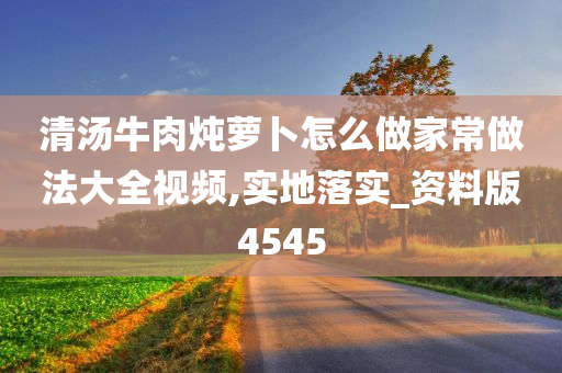 清汤牛肉炖萝卜怎么做家常做法大全视频,实地落实_资料版4545