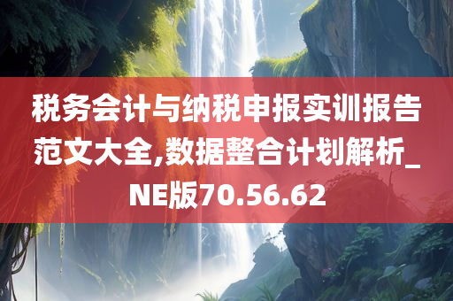 税务会计与纳税申报实训报告范文大全,数据整合计划解析_NE版70.56.62