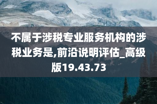 不属于涉税专业服务机构的涉税业务是,前沿说明评估_高级版19.43.73