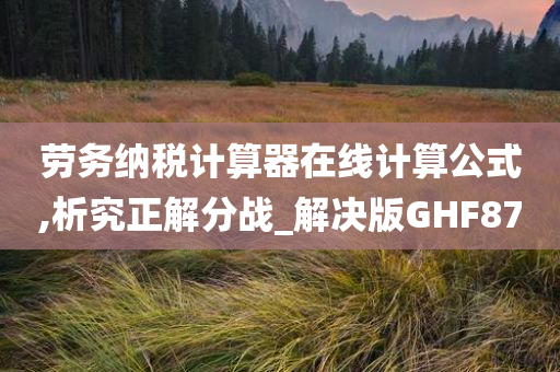 劳务纳税计算器在线计算公式,析究正解分战_解决版GHF87