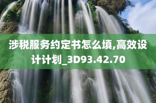 涉税服务约定书怎么填,高效设计计划_3D93.42.70