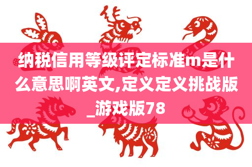 纳税信用等级评定标准m是什么意思啊英文,定义定义挑战版_游戏版78