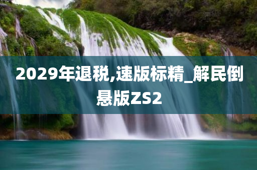 2029年退税,速版标精_解民倒悬版ZS2