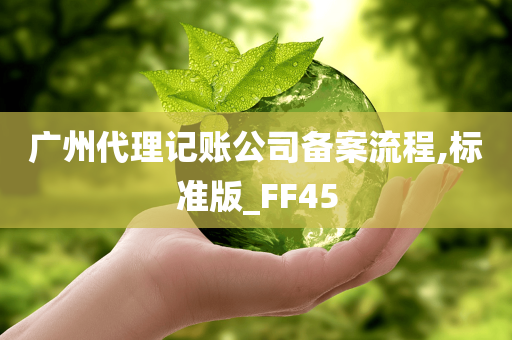 广州代理记账公司备案流程,标准版_FF45