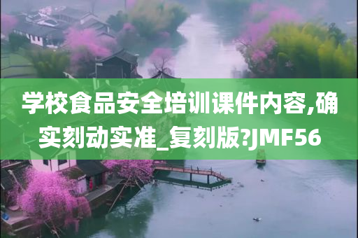 学校食品安全培训课件内容,确实刻动实准_复刻版?JMF56