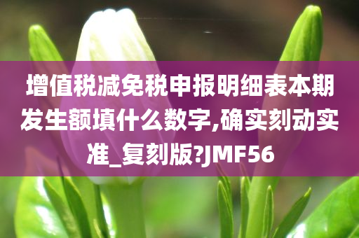 增值税减免税申报明细表本期发生额填什么数字,确实刻动实准_复刻版?JMF56