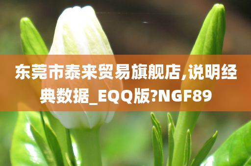 东莞市泰来贸易旗舰店,说明经典数据_EQQ版?NGF89