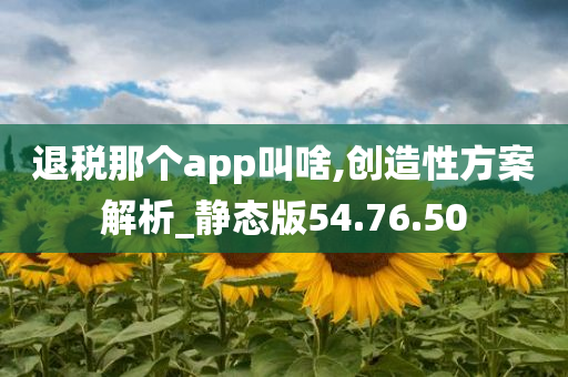 退税那个app叫啥,创造性方案解析_静态版54.76.50