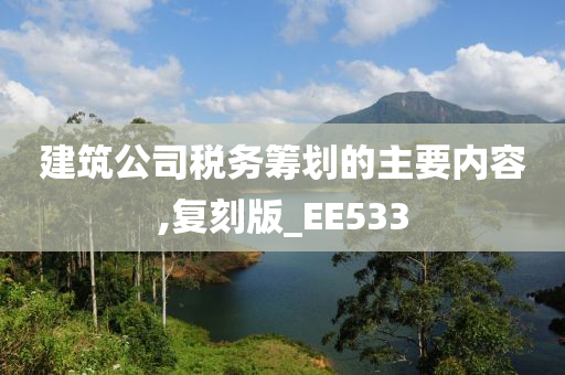 建筑公司税务筹划的主要内容,复刻版_EE533