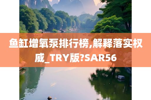 鱼缸增氧泵排行榜,解释落实权威_TRY版?SAR56