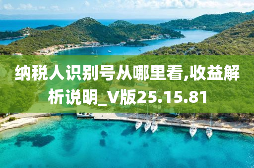 纳税人识别号从哪里看,收益解析说明_V版25.15.81