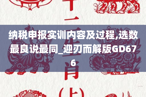 纳税申报实训内容及过程,选数最良说最同_迎刃而解版GD676