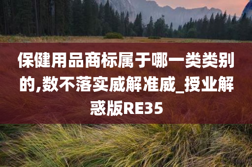 保健用品商标属于哪一类类别的,数不落实威解准威_授业解惑版RE35