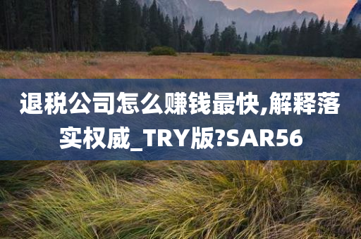 退税公司怎么赚钱最快,解释落实权威_TRY版?SAR56