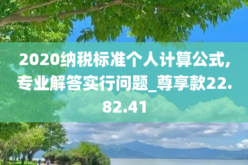 2020纳税标准个人计算公式,专业解答实行问题_尊享款22.82.41