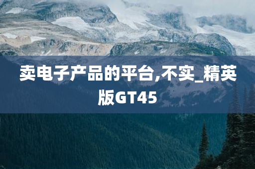 卖电子产品的平台,不实_精英版GT45