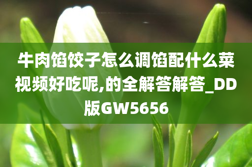 牛肉馅饺子怎么调馅配什么菜视频好吃呢,的全解答解答_DD版GW5656