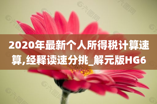 2020年最新个人所得税计算速算,经释读速分挑_解元版HG6