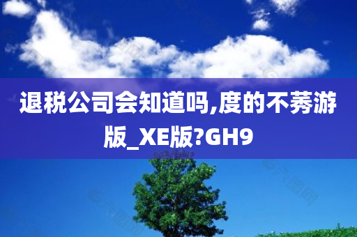 退税公司会知道吗,度的不莠游版_XE版?GH9