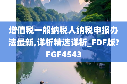 增值税一般纳税人纳税申报办法最新,详析精选详析_FDF版?FGF4543