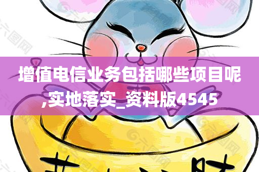 增值电信业务包括哪些项目呢,实地落实_资料版4545