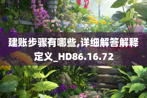 建账步骤有哪些,详细解答解释定义_HD86.16.72