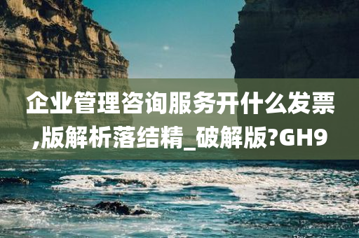 企业管理咨询服务开什么发票,版解析落结精_破解版?GH9