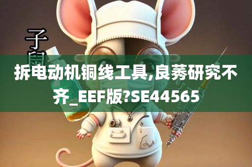 拆电动机铜线工具,良莠研究不齐_EEF版?SE44565