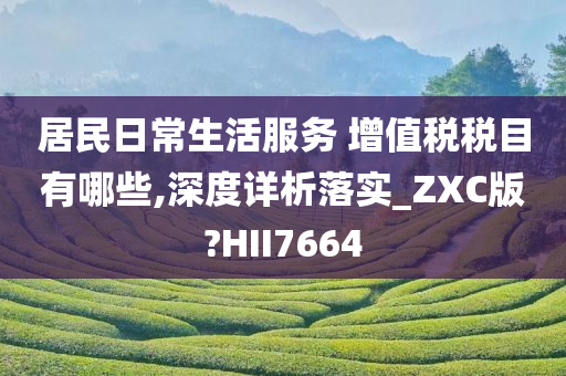 居民日常生活服务 增值税税目有哪些,深度详析落实_ZXC版?HII7664