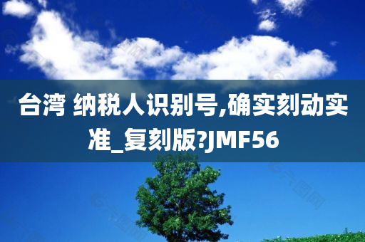 台湾 纳税人识别号,确实刻动实准_复刻版?JMF56