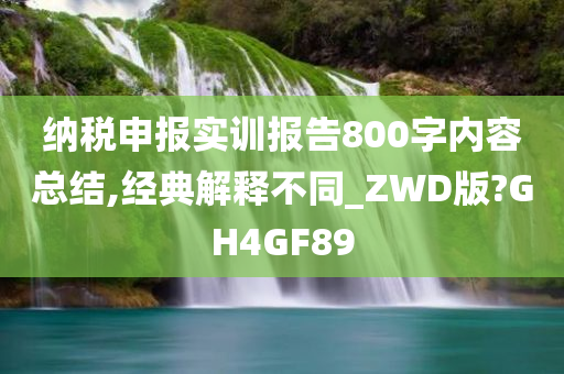 纳税申报实训报告800字内容总结,经典解释不同_ZWD版?GH4GF89