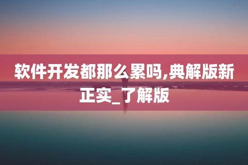 软件开发都那么累吗,典解版新正实_了解版