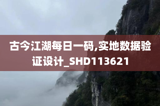 古今江湖每日一码,实地数据验证设计_SHD113621