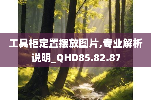 工具柜定置摆放图片,专业解析说明_QHD85.82.87