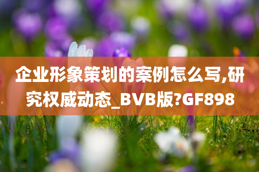 企业形象策划的案例怎么写,研究权威动态_BVB版?GF898