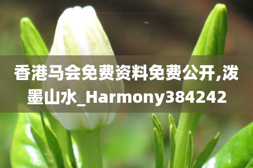 香港马会免费资料免费公开,泼墨山水_Harmony384242