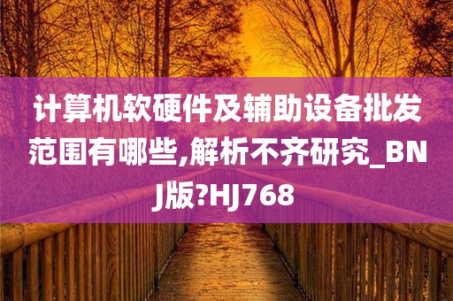 计算机软硬件及辅助设备批发范围有哪些,解析不齐研究_BNJ版?HJ768