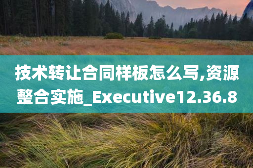 技术转让合同样板怎么写,资源整合实施_Executive12.36.80