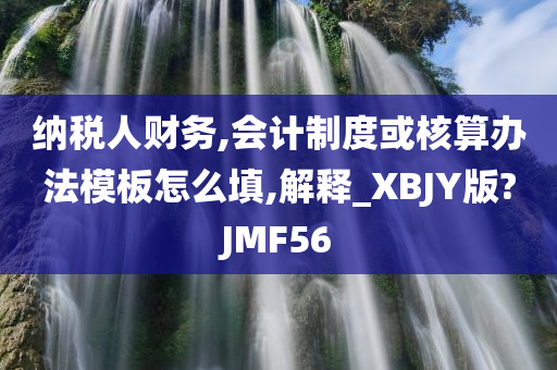 纳税人财务,会计制度或核算办法模板怎么填,解释_XBJY版?JMF56