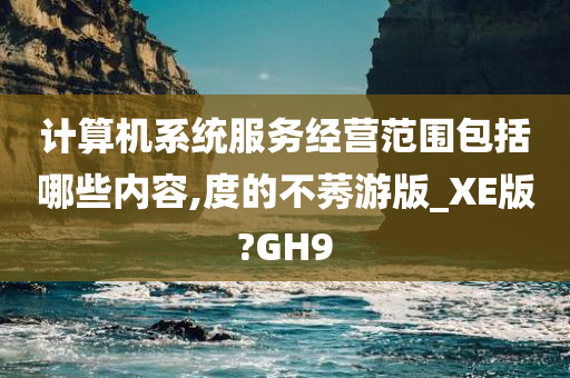 计算机系统服务经营范围包括哪些内容,度的不莠游版_XE版?GH9